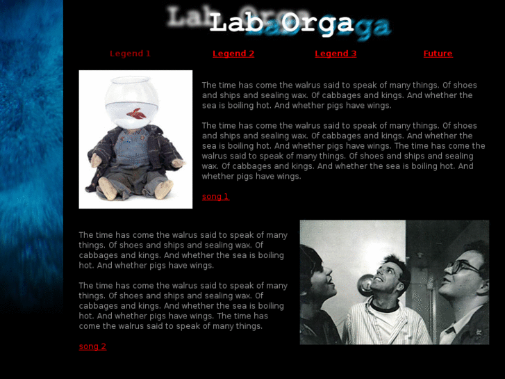 www.laborga.net