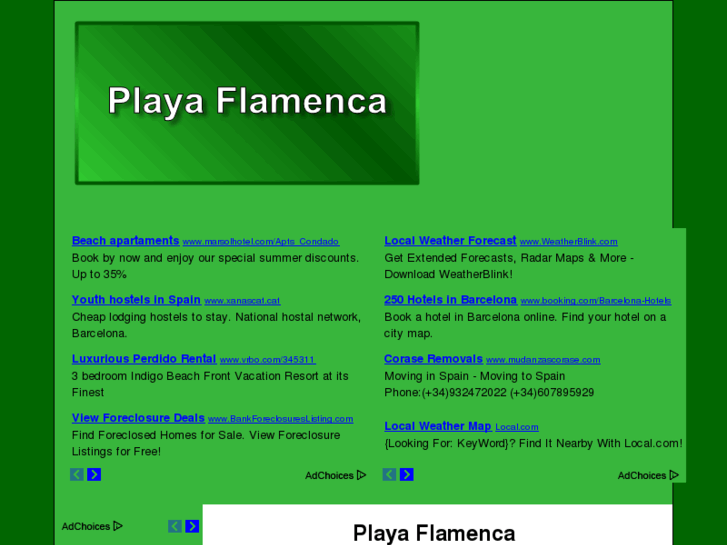 www.playa-flamenca-guide.co.uk