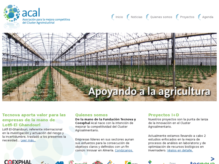 www.asociacionacal.es