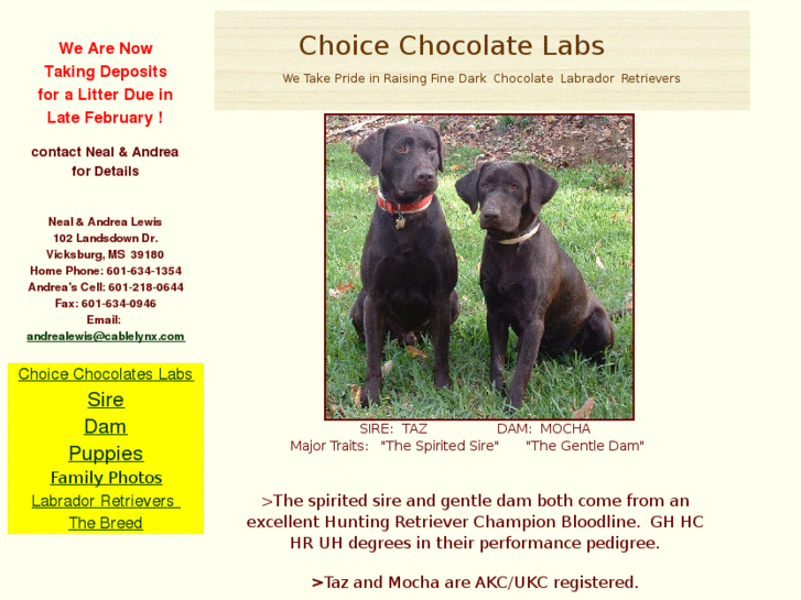 www.choicechocolatelabs.com