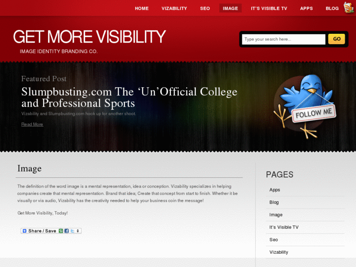 www.getmorevisibility.net
