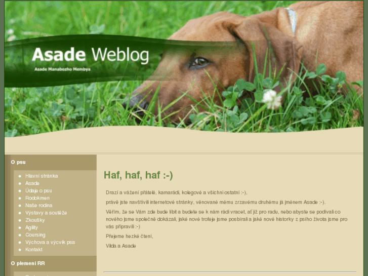 www.rhodeskyridgeback.net