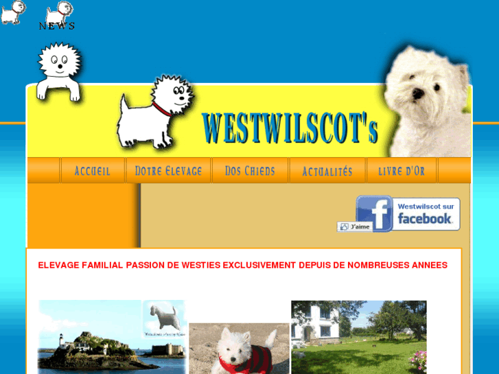 www.westwilscot.com