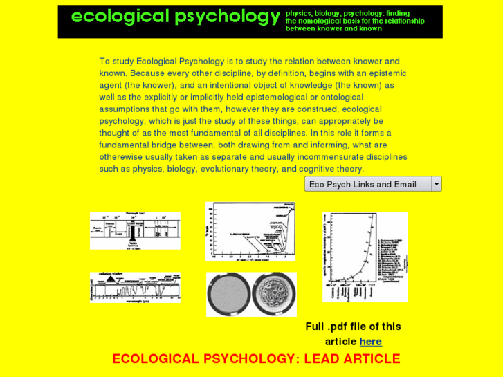 www.ecologicalpsychology.com