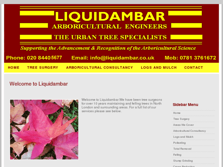 www.liquidambar.co.uk