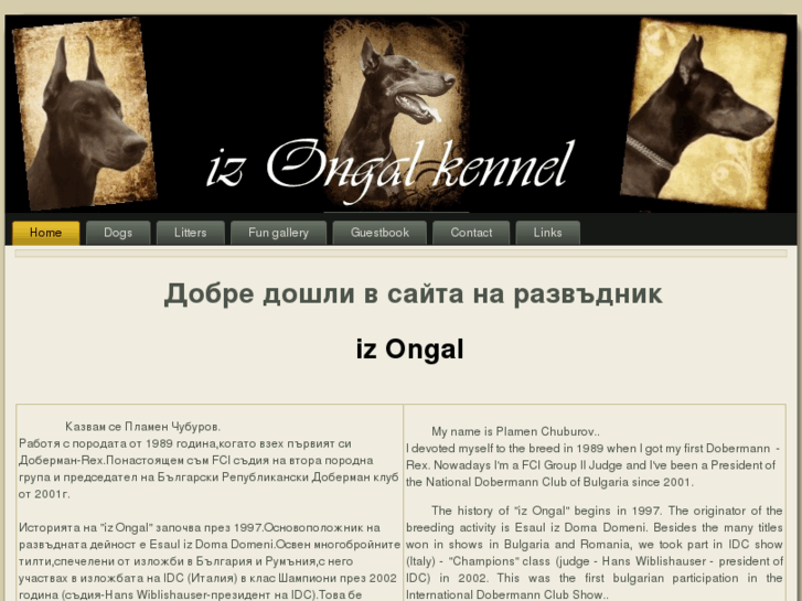 www.ongaldobermann.com