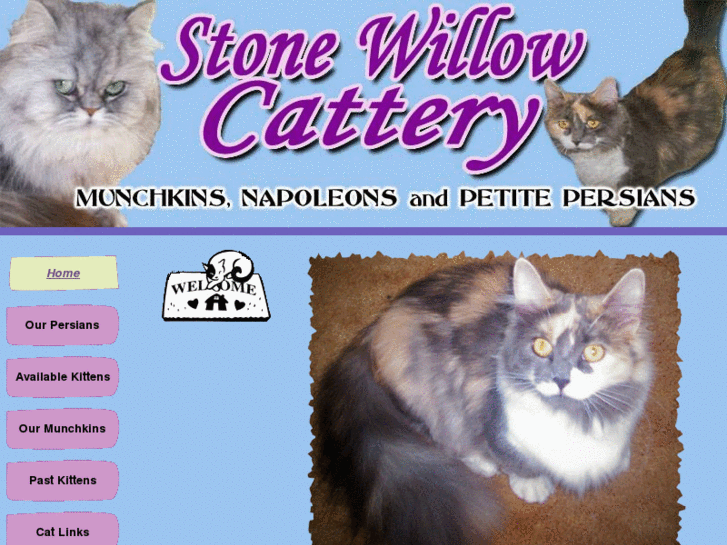 www.stonewillowcattery.com