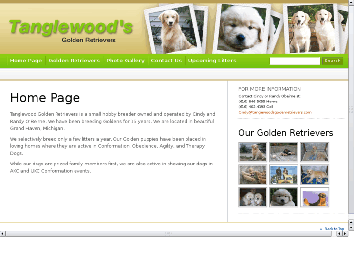 www.tanglewoodsgoldenretrievers.com