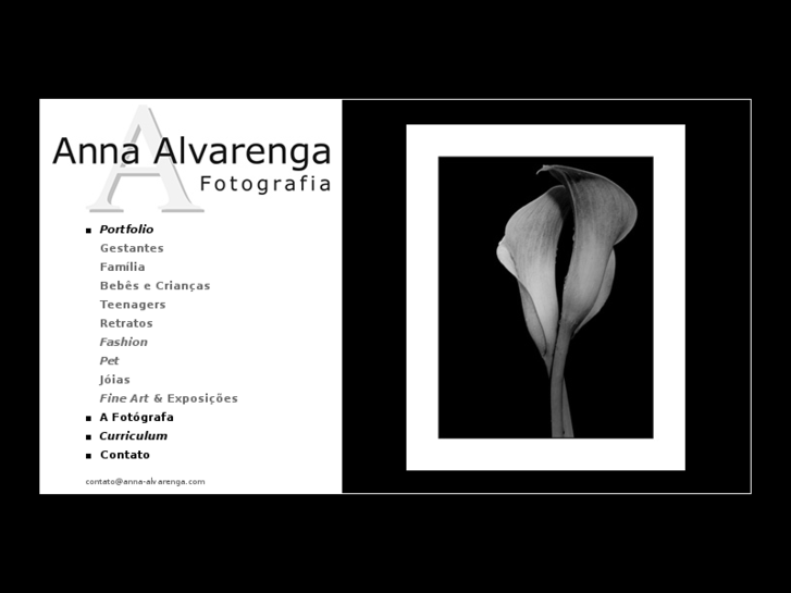 www.anna-alvarenga.com