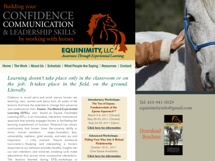 www.equinimityllc.com