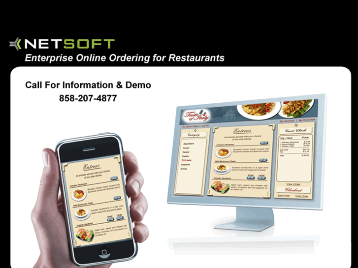 www.netsoftwebsite.com