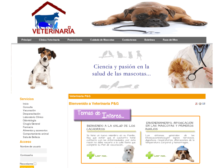 www.veterinariapyg.com