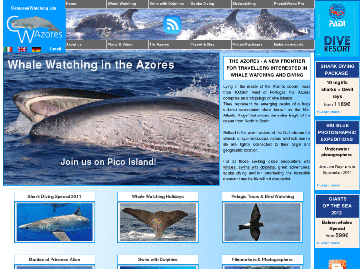 www.cwazores.com