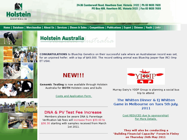 www.holstein.com.au