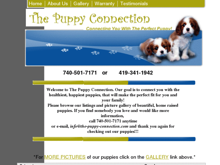 www.jjpuppyconnections.com