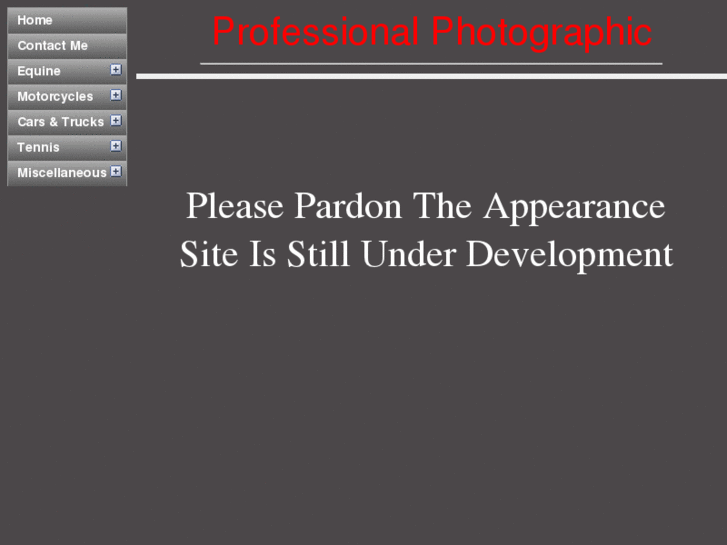 www.professional-photographic.com