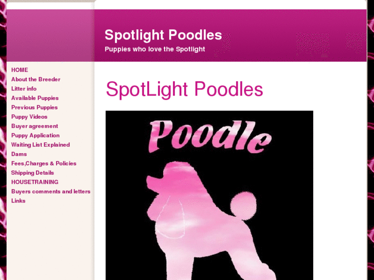 www.spotlightpoodles.com