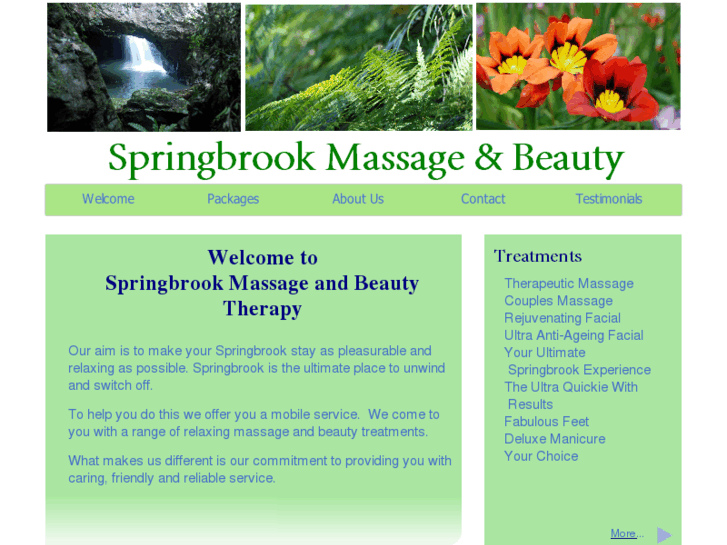 www.springbrookmassageandbeauty.com