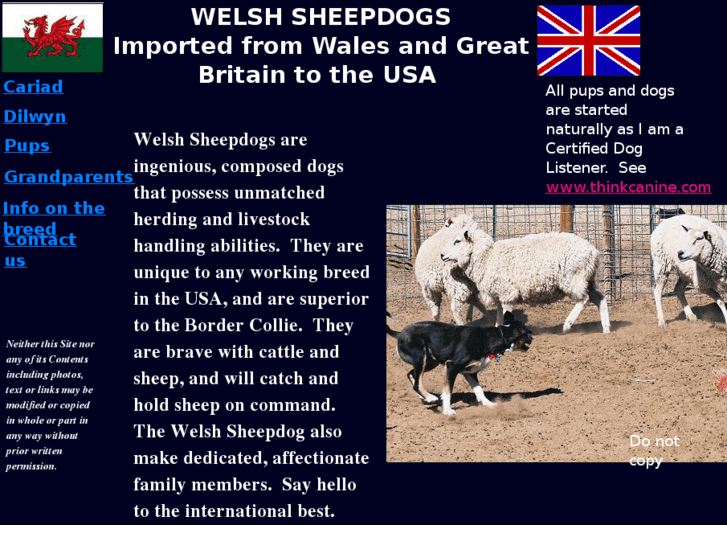 www.welshsheepdog.com