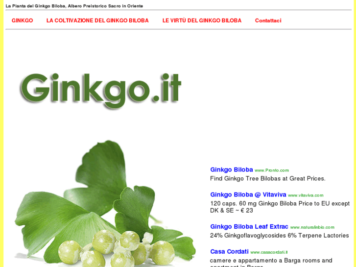 www.ginkgo.it