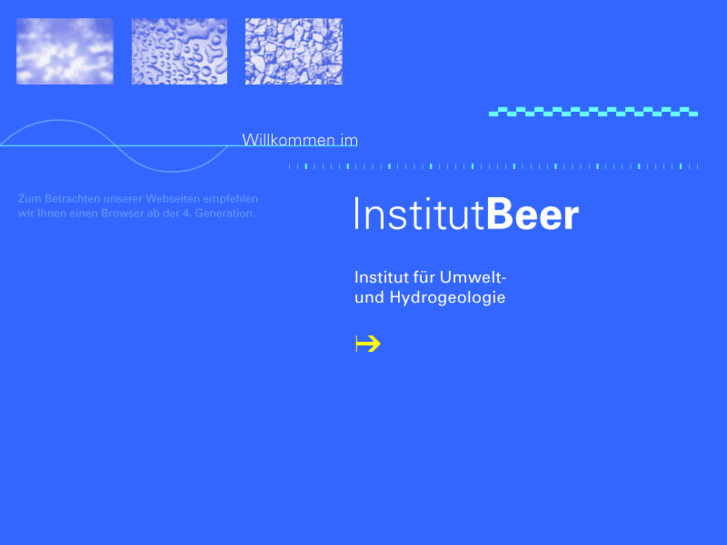 www.institut-beer.de