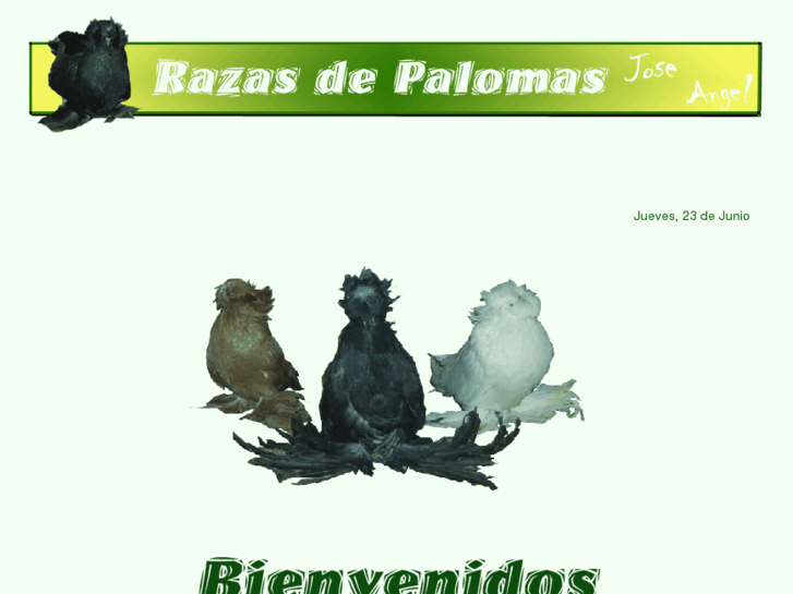 www.razasdepalomas.com