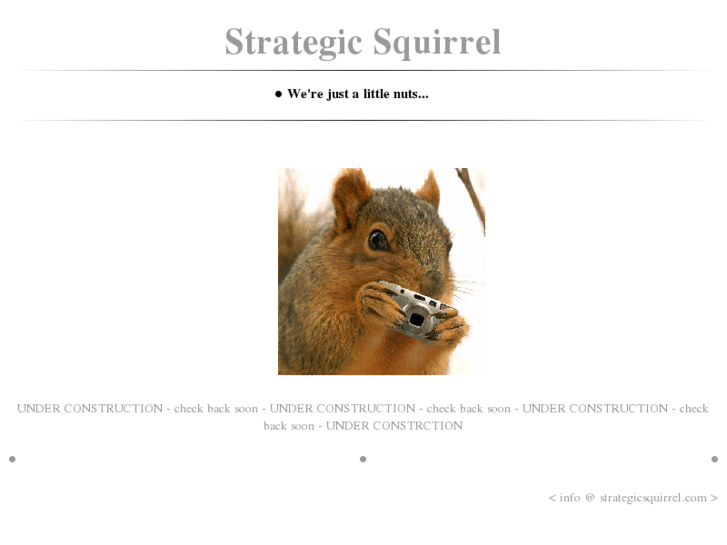 www.strategicsquirrel.com