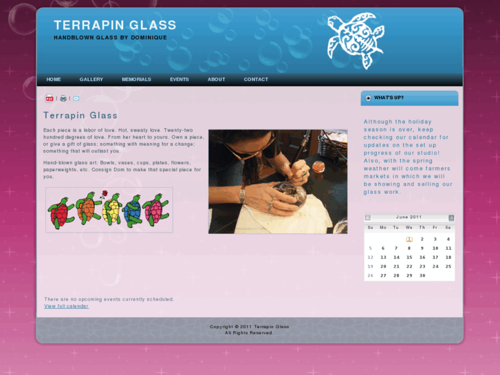 www.terrapinglass.com