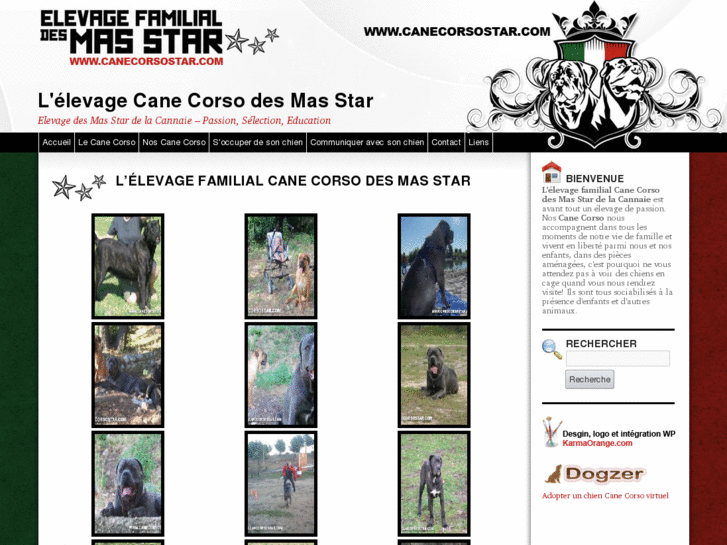 www.canecorsostar.com