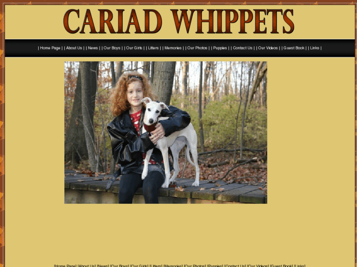www.cariadwhippet.com
