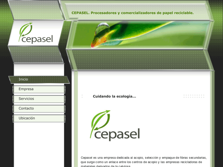 www.cepasel.com