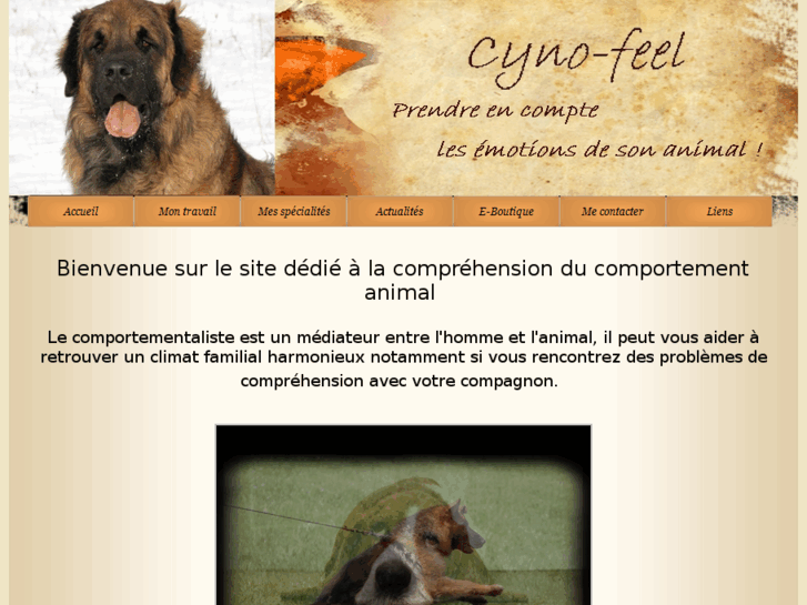 www.cyno-feel.com