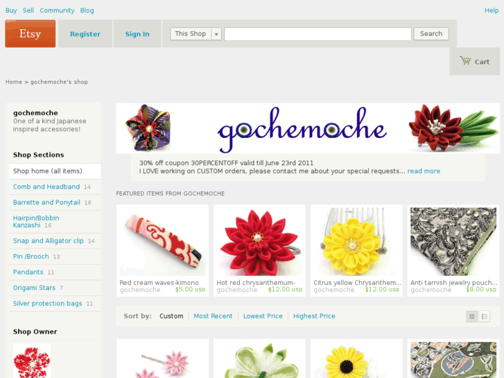 www.gochemoche.com