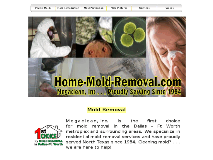 www.home-mold-removal.com