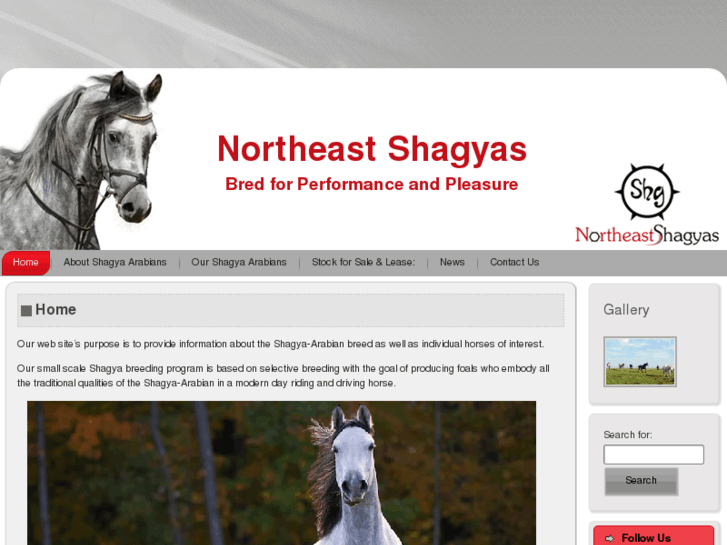 www.northeastshagyas.com