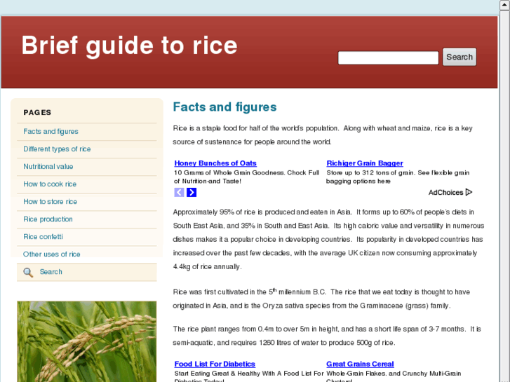 www.rice.co.uk