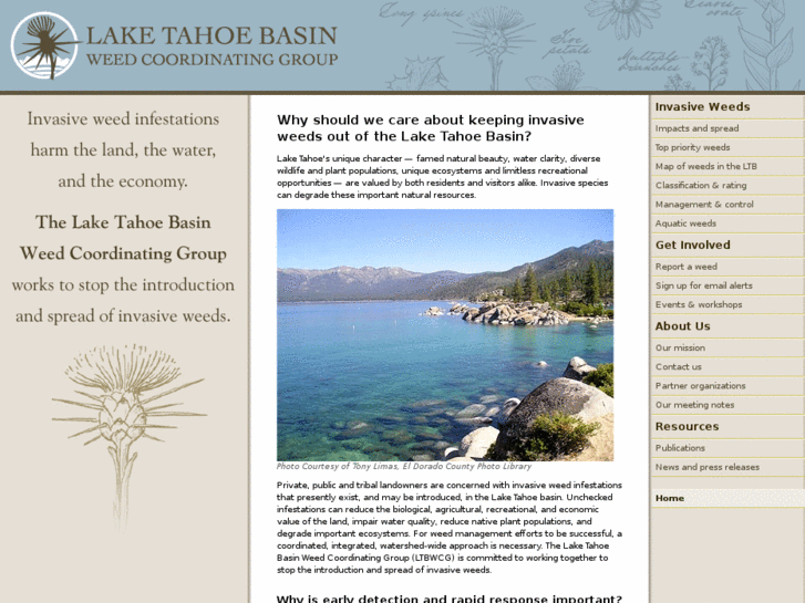 www.tahoeinvasiveweeds.com