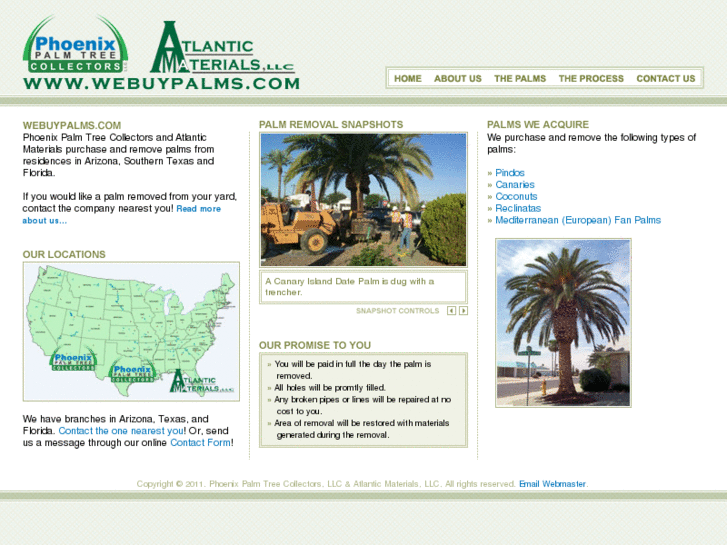 www.webuypalms.com