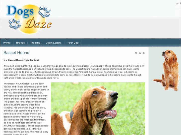 www.dogsdaze.com