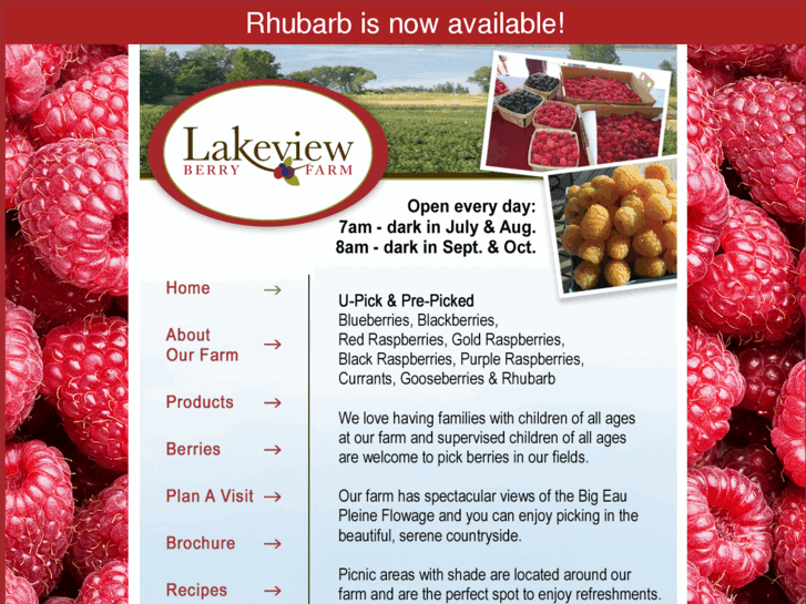 www.lakeviewberryfarm.com