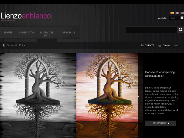 www.lienzoenblanco.com