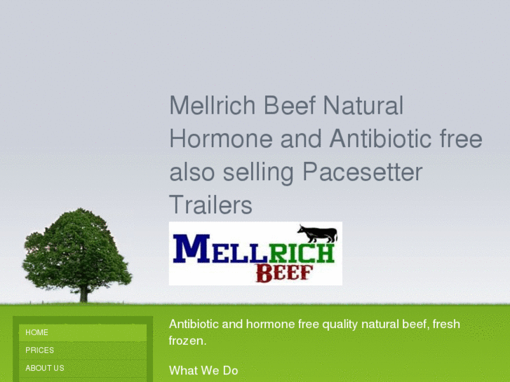 www.mellrichbeef.com