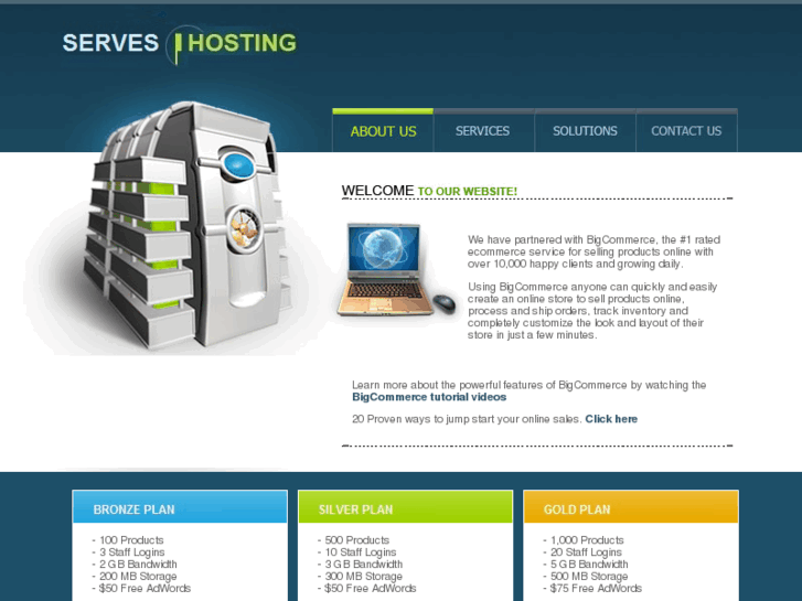 www.serveshosting.info