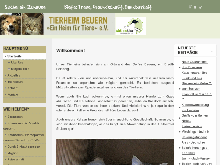 www.tierheim-beuern.com