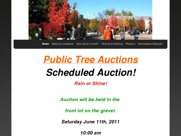 www.treeauction.net