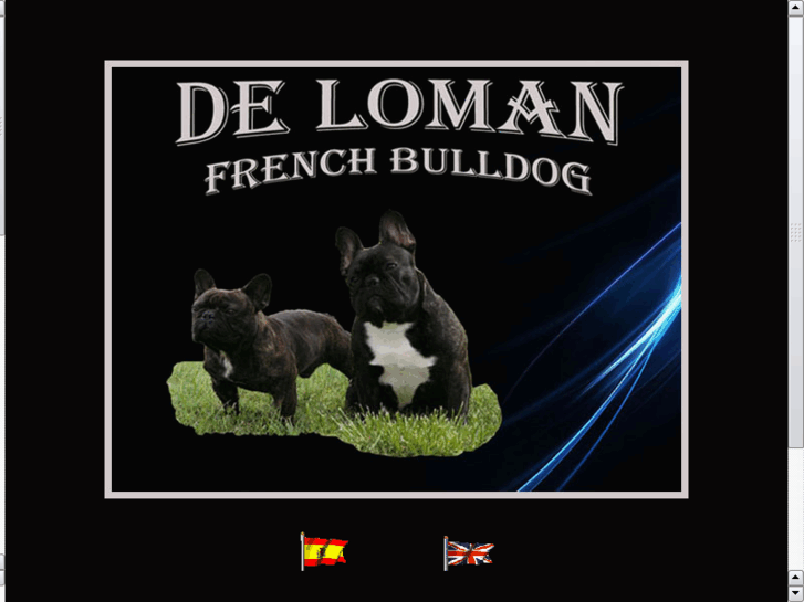 www.deloman.info