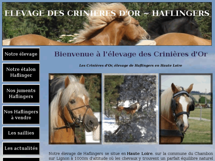 www.elevage-haflingers.com