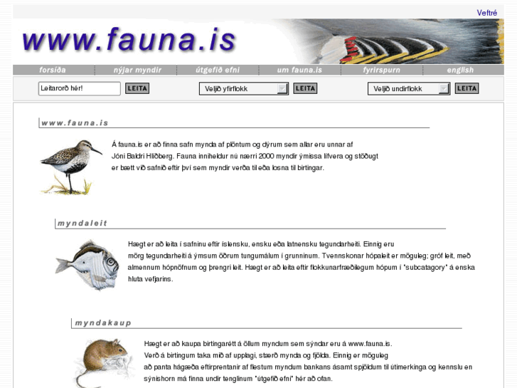 www.fauna.is