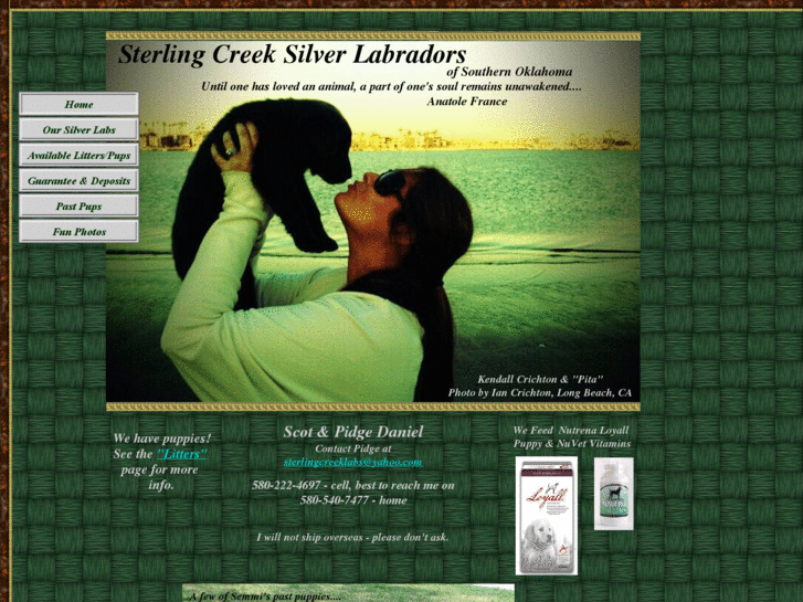 www.sterlingcreeksilverlabs.com