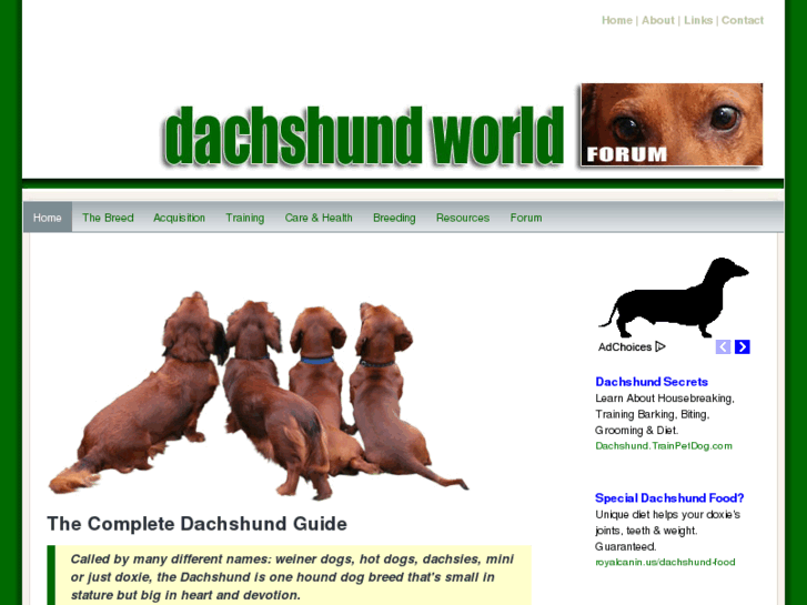 www.dachworld.com